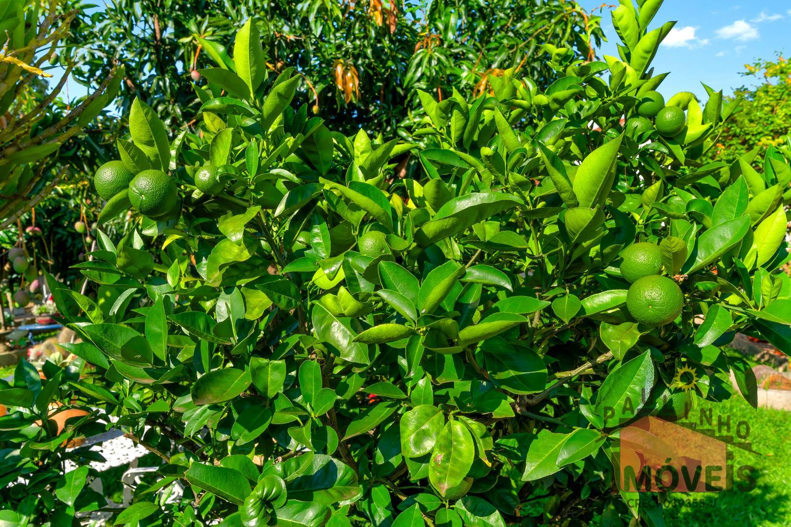 Casa de Condomínio, 3 quartos - Foto 23